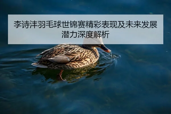李诗沣羽毛球世锦赛精彩表现及未来发展潜力深度解析
